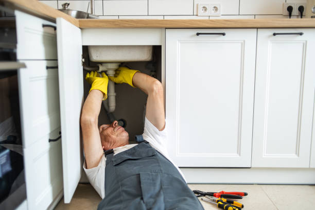 Best 24-Hour Plumber Near Me  in Wlowbrook, IL