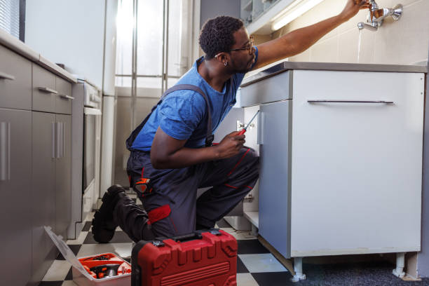 Best Plumbing Inspection Services  in Wlowbrook, IL